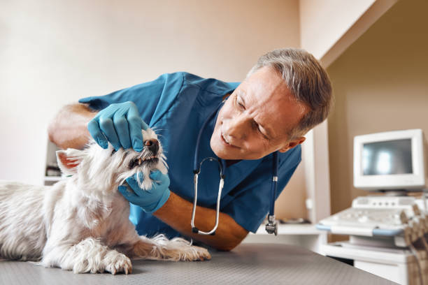 Best Emergency Tooth Extraction in Monroe, GA